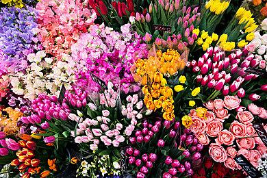 《叛乱：沙漠风暴》于今日登陆Epic Games Store！